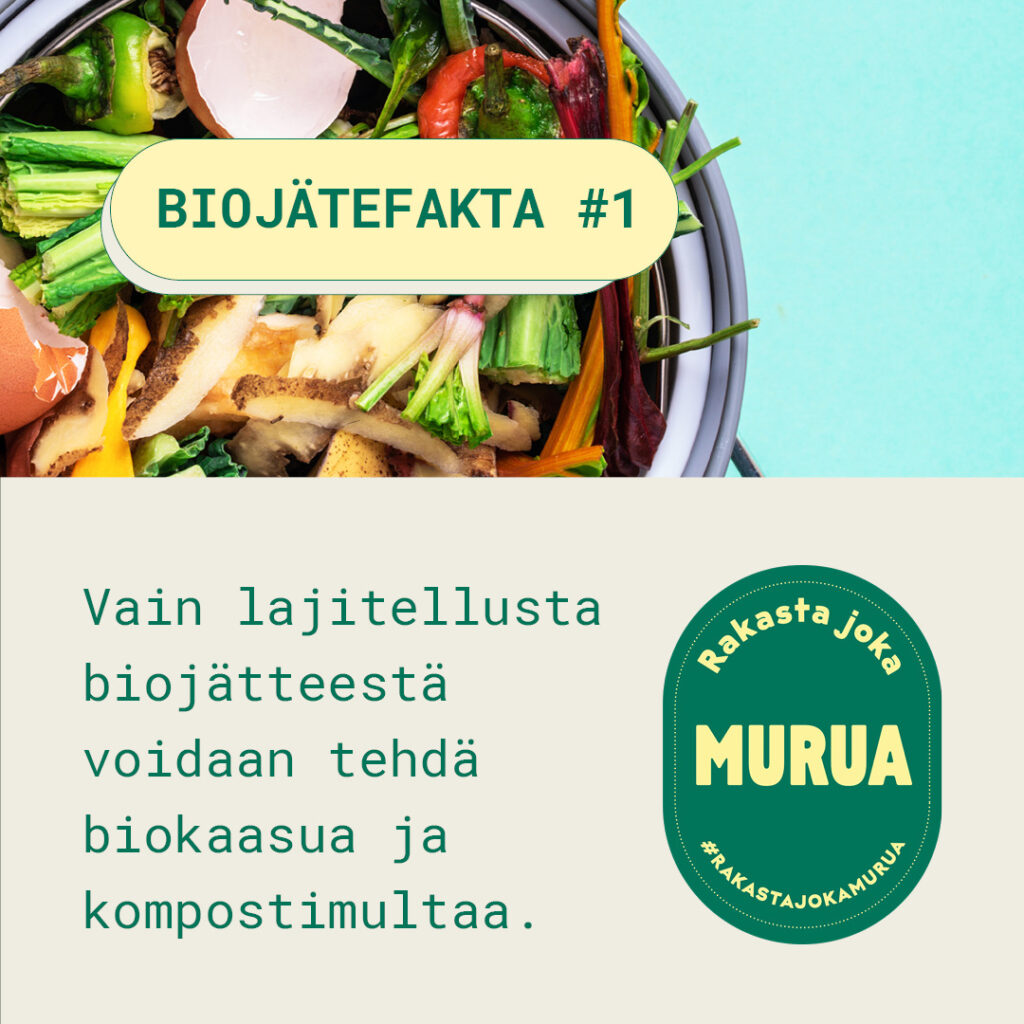 Rakasta joka murua